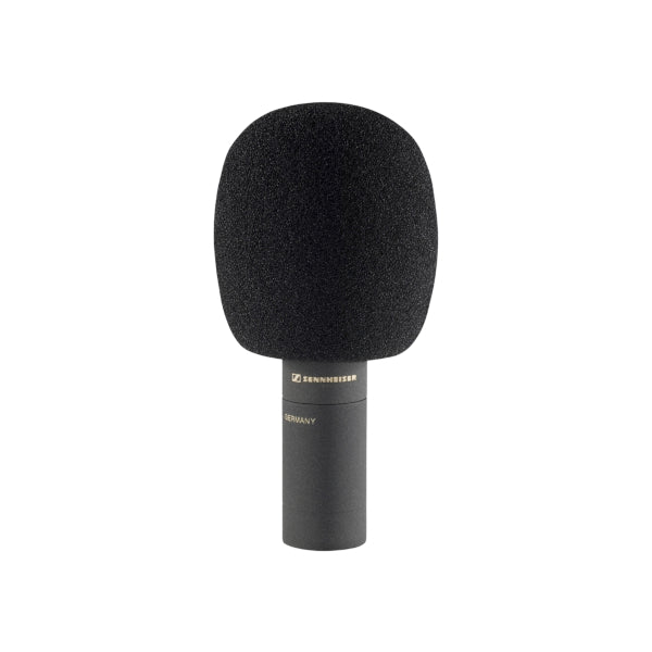 Sennheiser MKH 8040 with Windsock