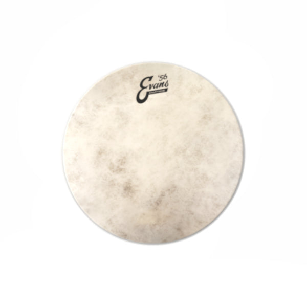 Evans Calftone Drumhead