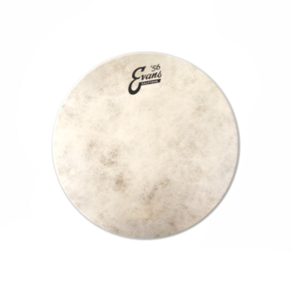 Evans Calftone Drumhead