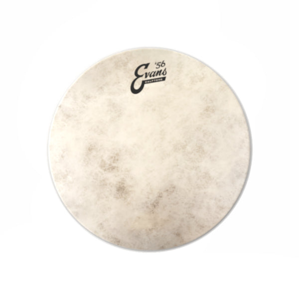 Evans Calftone Drumhead