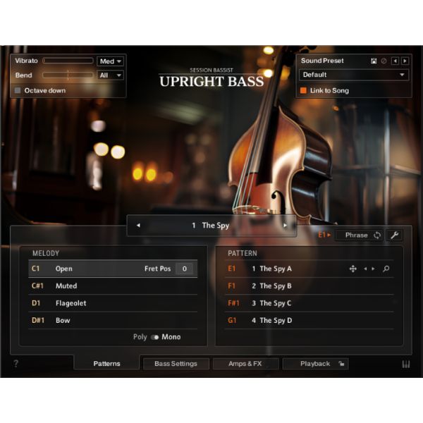 Native Instruments Komplete 15 Ultimate (Upright Bass)