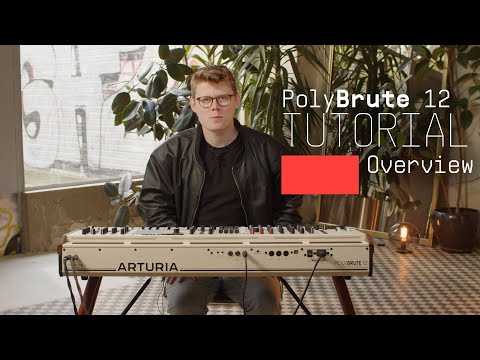 Arturia Polyburte 12 (Video)