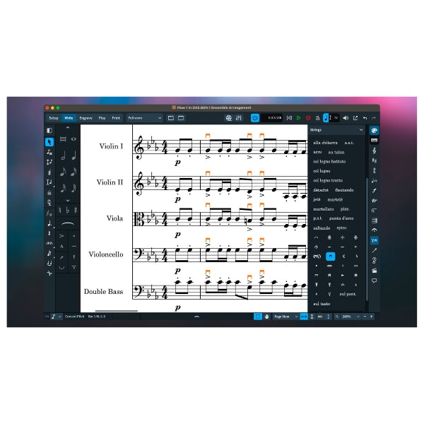 Steinberg Dorico Pro (Latest) notation