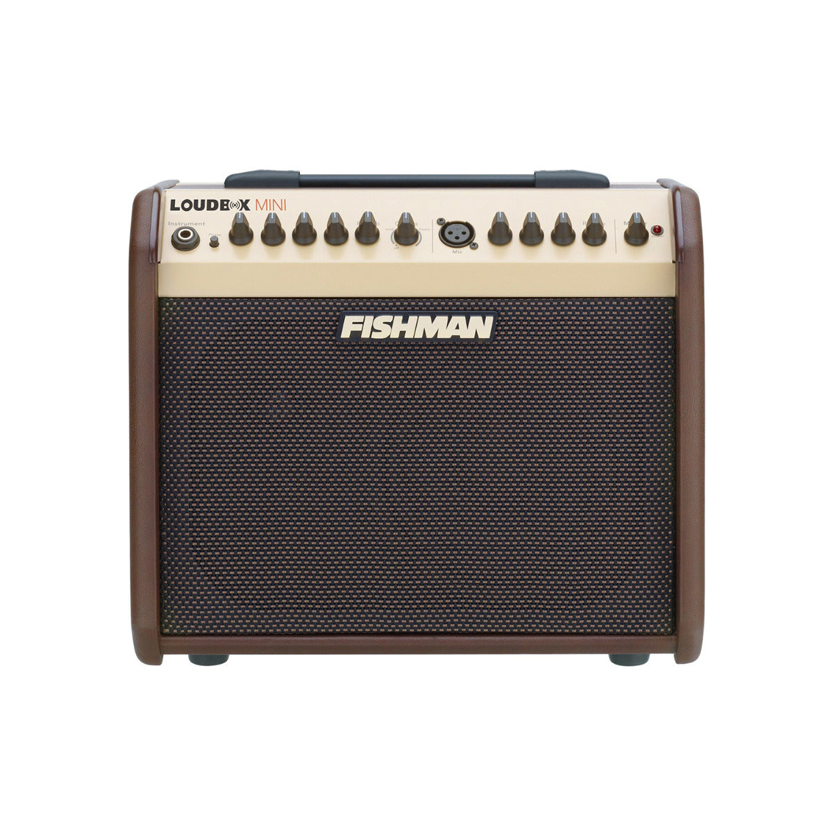 Fishman Loudbox Mini